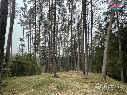 Prodej lesa, 20194m<sup>2</sup>, Pecka, Jičín