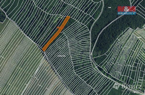 Prodej lesa, 3219m<sup>2</sup>, Horní Bojanovice, Břeclav