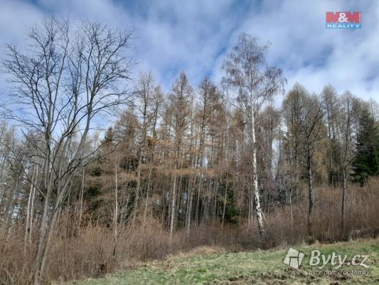 Les na prodej, 5083m<sup>2</sup>, Zálezly, Setěchovice