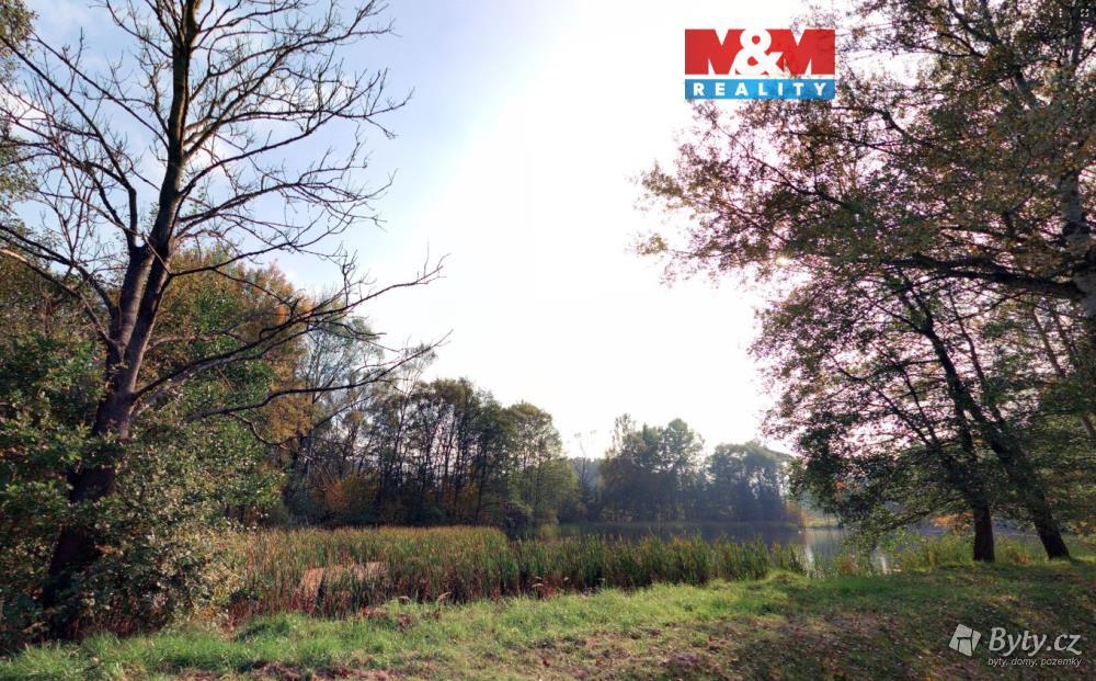 Prodej pozemku 7011 m², Obděnice · Petrovice