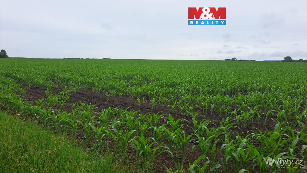Prodej pozemku 30161 m², Sokolnice