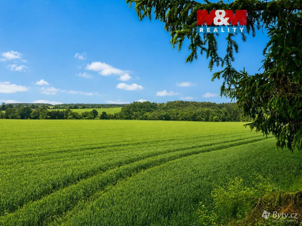 Prodej pozemku 7484 m², Borovany