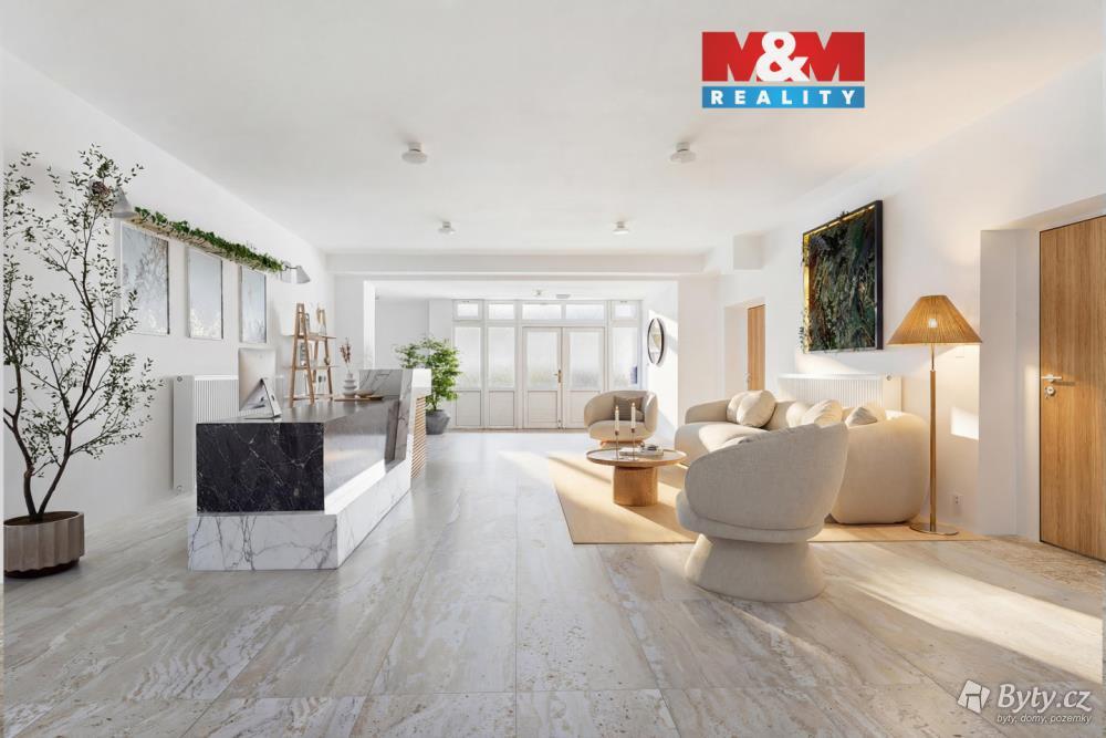 Prodej komerčního prostoru 1890 m², Svojanov u Borušova · Borušov