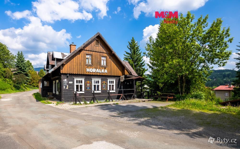 Prodej komerčního prostoru 374 m², Horní Rokytnice nad Jizerou · Rokytnice nad Jizerou