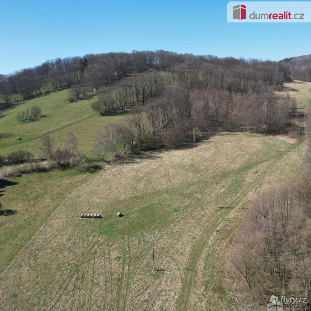 Prodej pozemku 4280 m², Fojtovice u Heřmanova · Heřmanov