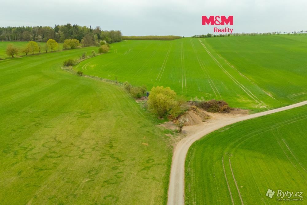 Prodej pozemku 730 m², Olešnice